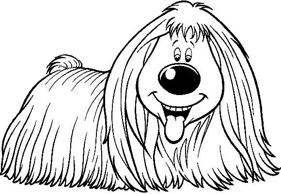 Dibujos para colorear: Perrito para colorear Dibujos para colorear: Perrito para colorear