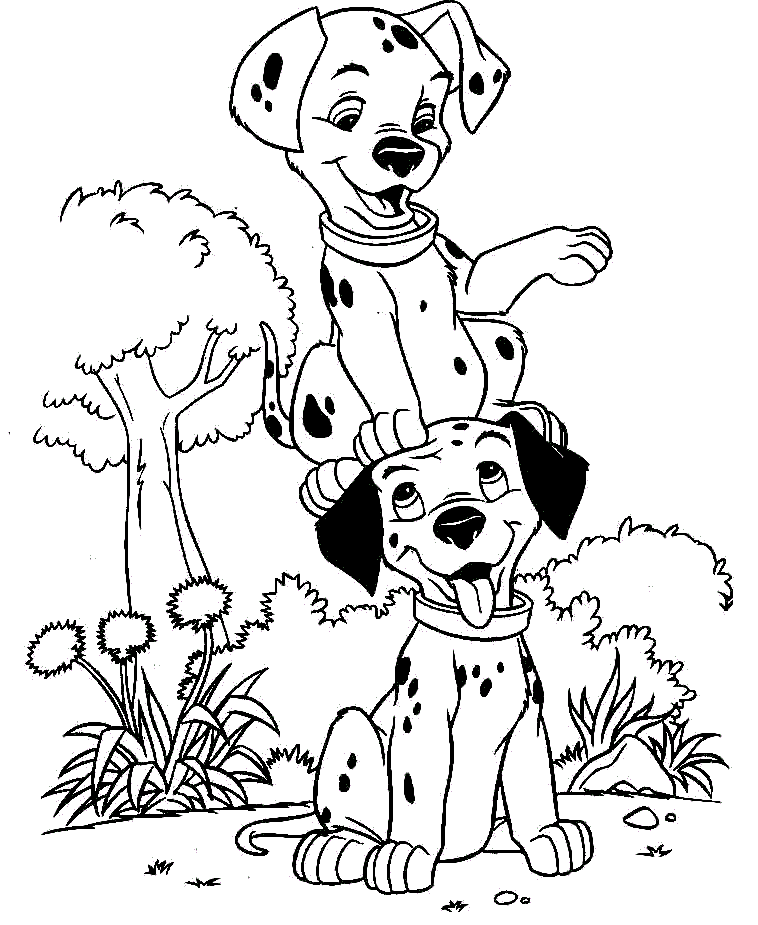 Perritos Dalmatas