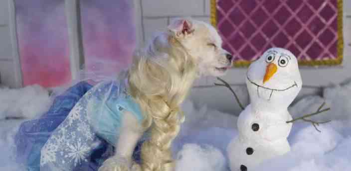 Perritos disfrazados de personajes de Disney, se vuelven viral ... Perritos disfrazados de personajes de Disney, se vuelven viral ...