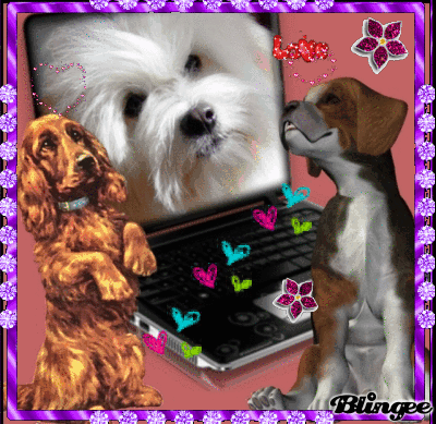 perritos enamorados Picture #101517700 | Blingee.com perritos enamorados Picture #101517700 | Blingee.com