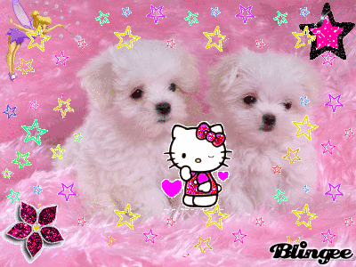 perritos lindos Picture #108264718 | Blingee. perritos lindos Picture #108264718 | Blingee.