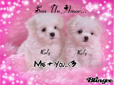 Los Perritos Mas Lindos Y Tiernos... Fotografía #127222362 | Blingee.