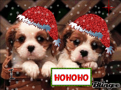 Perritos navideños Picture #127051504 | Blingee.
