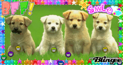 Perritos Tiernos Picture #97883430 | Blingee.com Perritos Tiernos Picture #97883430 | Blingee.com
