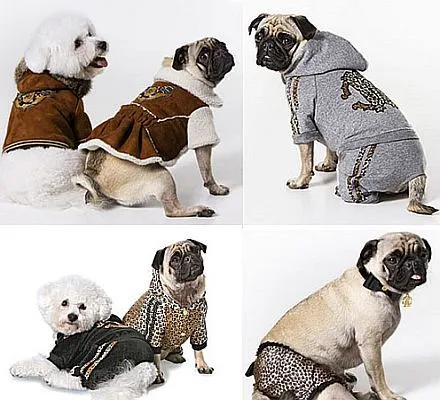 Diseños de Roberto Cavalli para Perros - Espaciolujo.com Diseños de Roberto Cavalli para Perros - Espaciolujo.com