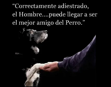EL PERRO ES UN AMIGO (mensaje para "dueños/as" y entrenadores/as ...