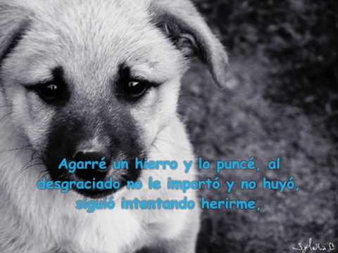 Mi perro Boby (historia muy triste) - YouTube Mi perro Boby (historia muy triste) - YouTube
