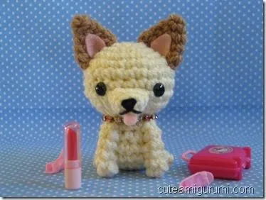 Perro chihuahua