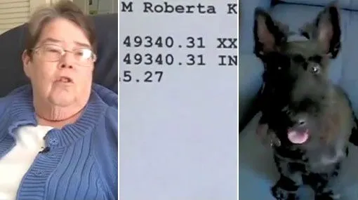 Perro se comió cheque de US$49000 - Taringa!
