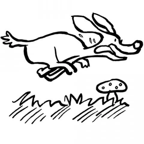 Perro corriendo: Dibujos para colorear