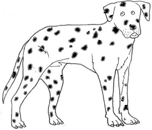 Perro dalmata para dibujar - Imagui