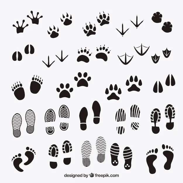 Perro | Fotos y Vectores gratis