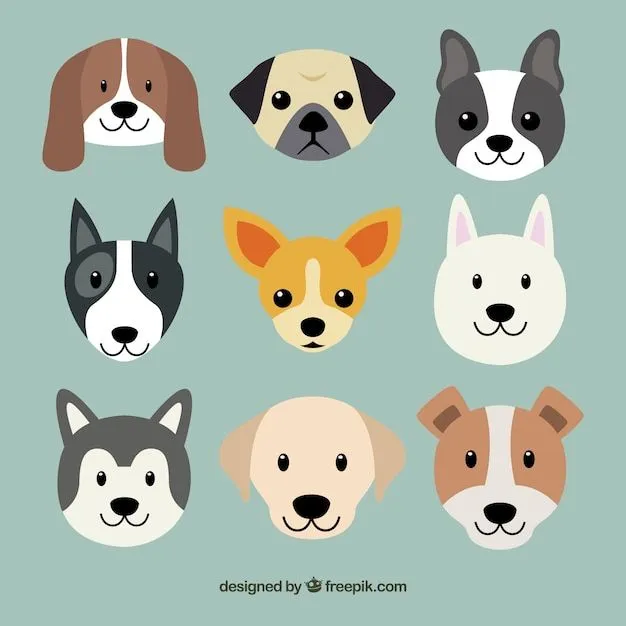 Perro | Fotos y Vectores gratis