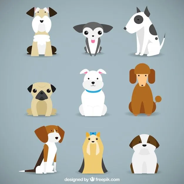 Perro | Fotos y Vectores gratis