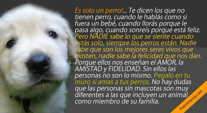 Es solo un perro!... Te dicen los que no .... Frases.