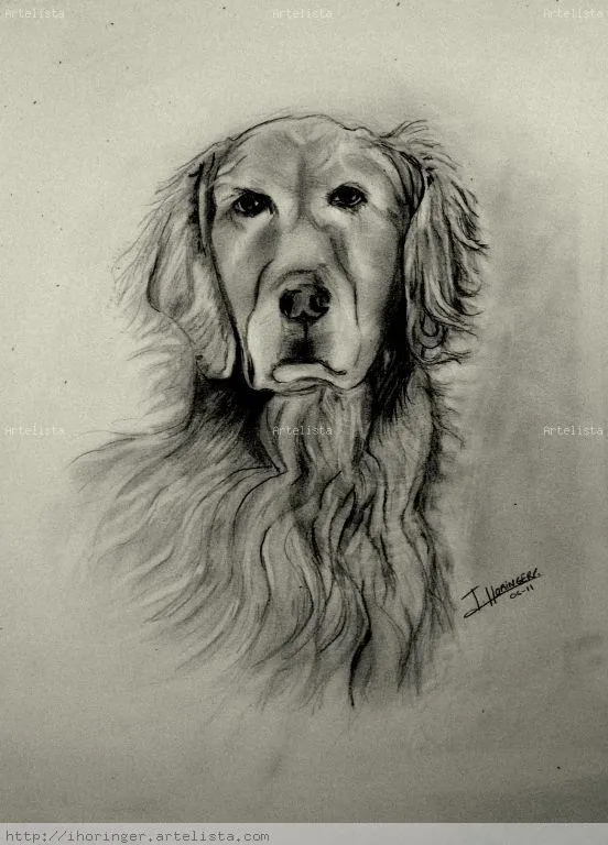Dibujo perro a lapiz - Imagui