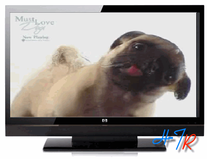 Gif de perros lamiendo la pantalla - Imagui Gif de perros lamiendo la pantalla - Imagui