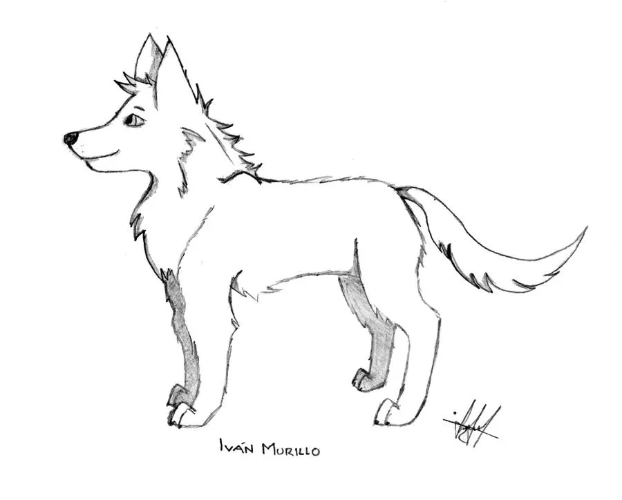 Perro-Lobo-White Wolf-Dog by EvanTenkatsu5 on DeviantArt Perro-Lobo-White Wolf-Dog by EvanTenkatsu5 on DeviantArt