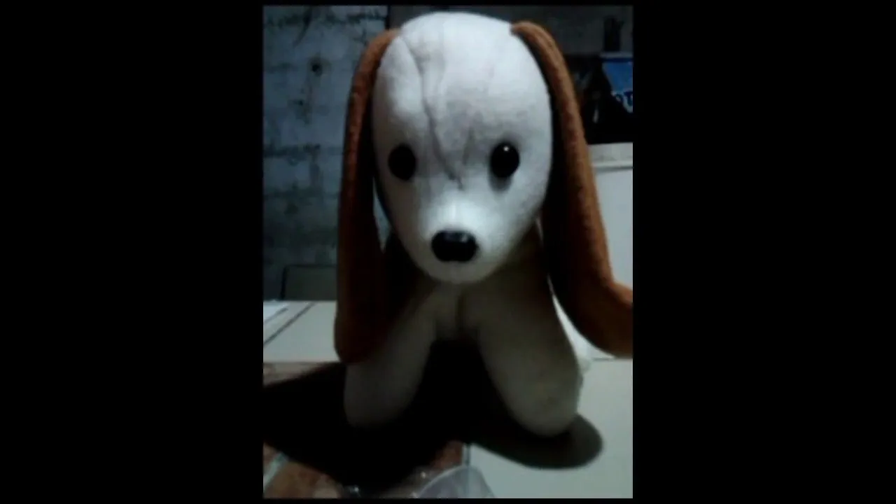 Como hacer un perro de peluche - DIY - YouTube