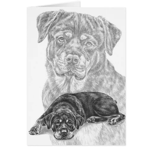 Tarjetas Rottweiler Lápiz | Invitaciones Rottweiler Lápiz ... Tarjetas Rottweiler Lápiz | Invitaciones Rottweiler Lápiz ...