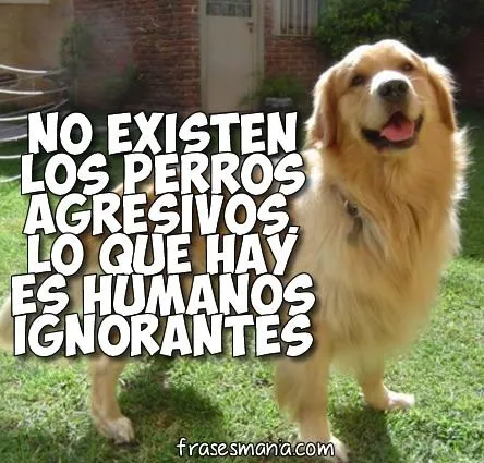 No existen los perros agresivos, lo que hay .... Frases.