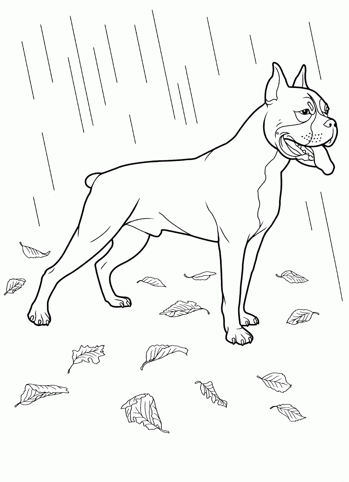 Perros boxer para colorear - Imagui