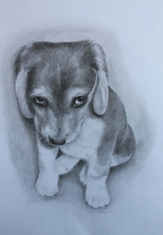 Perros cachorros a lapiz - Imagui