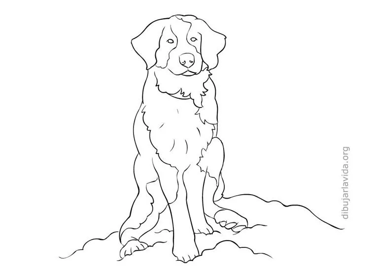 Perros | Dibujar la vida