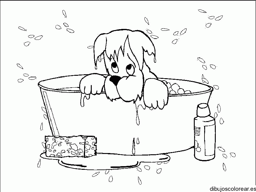 Perros | Dibujos para Colorear
