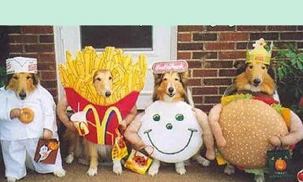 Perros disfrazados + Parecidos!! ;D - Taringa!