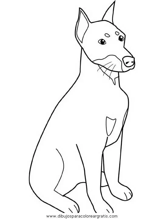 Pin » Perro Dibujo A Lapiz Taringa Tattoo Atomicoche On ... Pin » Perro Dibujo A Lapiz Taringa Tattoo Atomicoche On ...