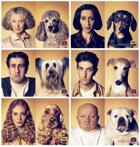 perros-duenos12.jpg perros-duenos12.jpg