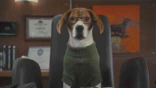 Como perros y gatos 2 | Descargar Como perros y gatos 2 La ...