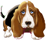 Perros: Gifs animados