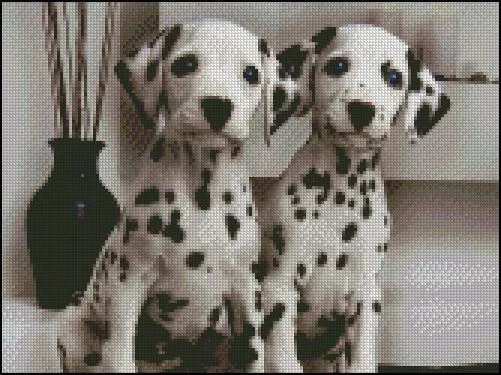 Perros - Hilos para Bordar (DMC, Rosace, Anchor, Panda, ...) y más ...