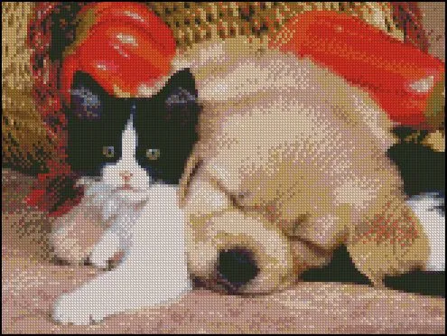 Perros - Hilos para Bordar (DMC, Rosace, Anchor, Panda, ...) y más ...