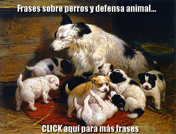 Todos los perros son iguales? » » www.