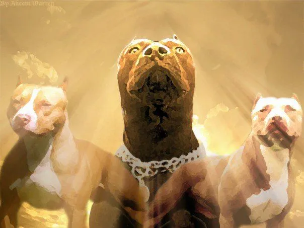 Perros pitbul de caricatura - Imagui