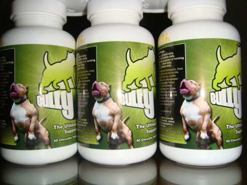 Perros pitbull: Formas para poner musculoso a un pitbull