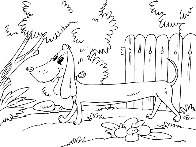 Perros salchichas para colorear - Imagui
