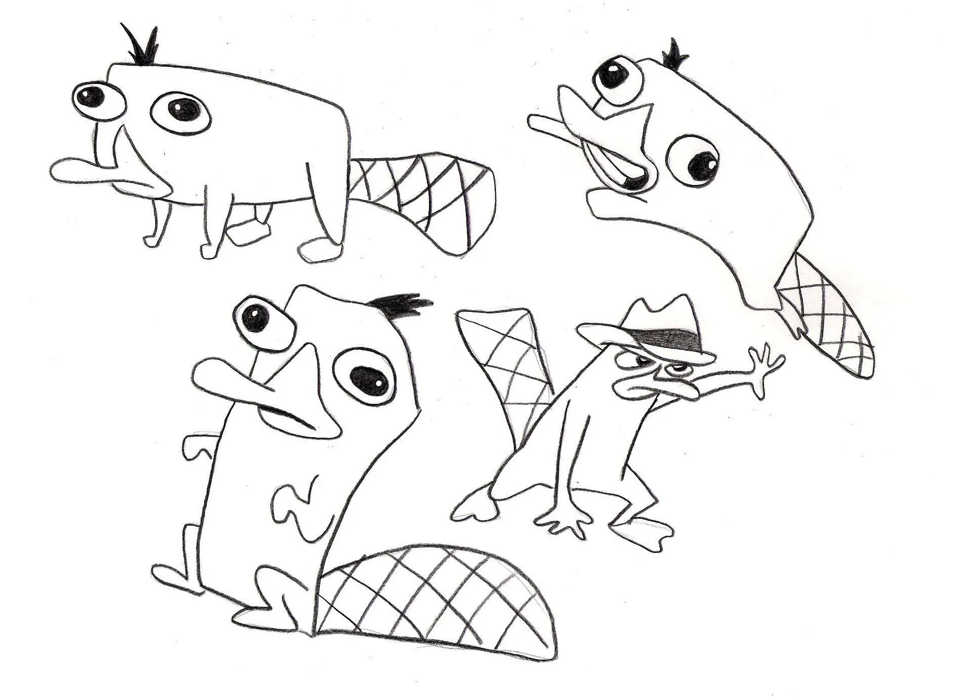 perry el ornitorrinco para colorear MEMES Pictures