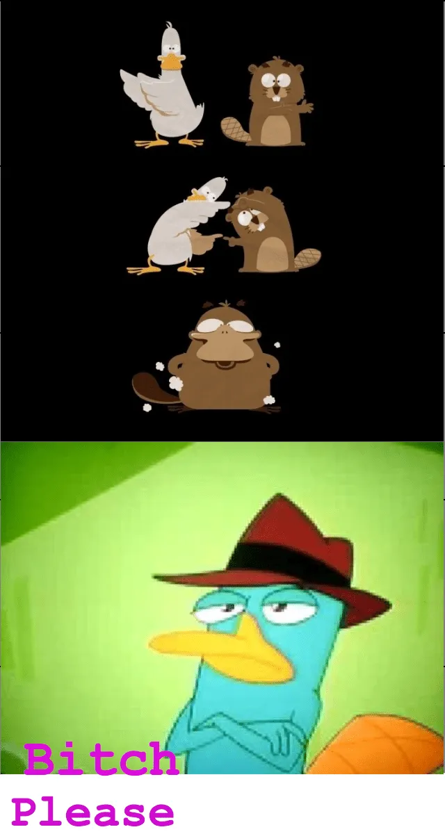 perry_ornitorrinco