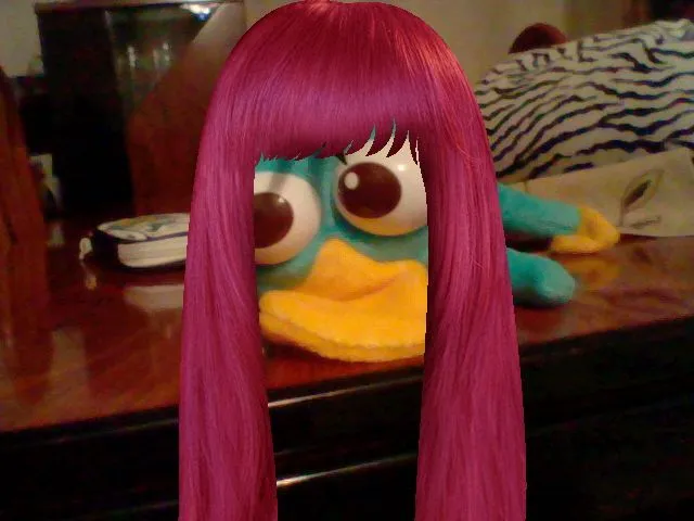 mirad que guapa es la novia de perry el ornitorrinco mirad que guapa es la novia de perry el ornitorrinco