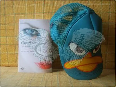 de perry el ornitorrinco que me regalo mi hermano 3