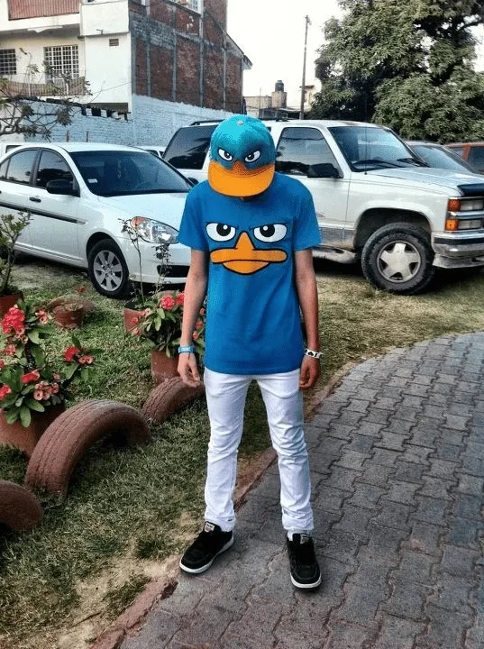 Cubeecraft de Perry el ornitorrinco - Imagui