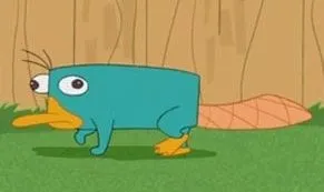 Perry the Platypus - Phineas and Ferb Wiki - Your Guide to Phineas ...