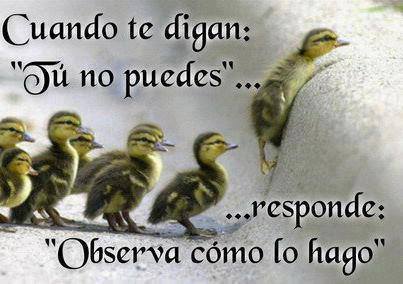 Perseverar: el buen empresario / emprendedor persevera - Dirección ... Perseverar: el buen empresario / emprendedor persevera - Dirección ...