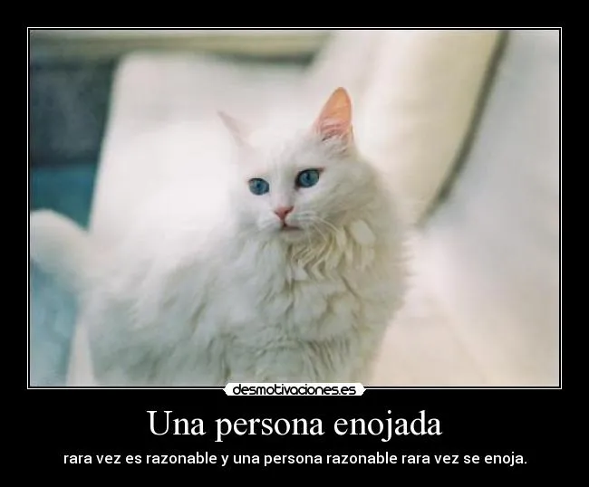 Una persona enojada | Desmotivaciones