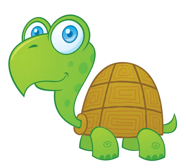 Personaje de dibujos animados de tortugas — Vector stock © fizzgig ...