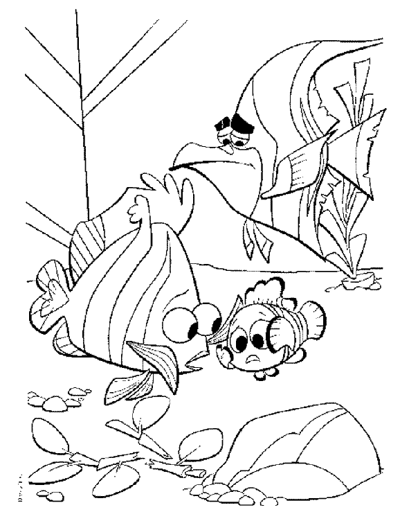Nemo con peces amigos | Dibujos Disney